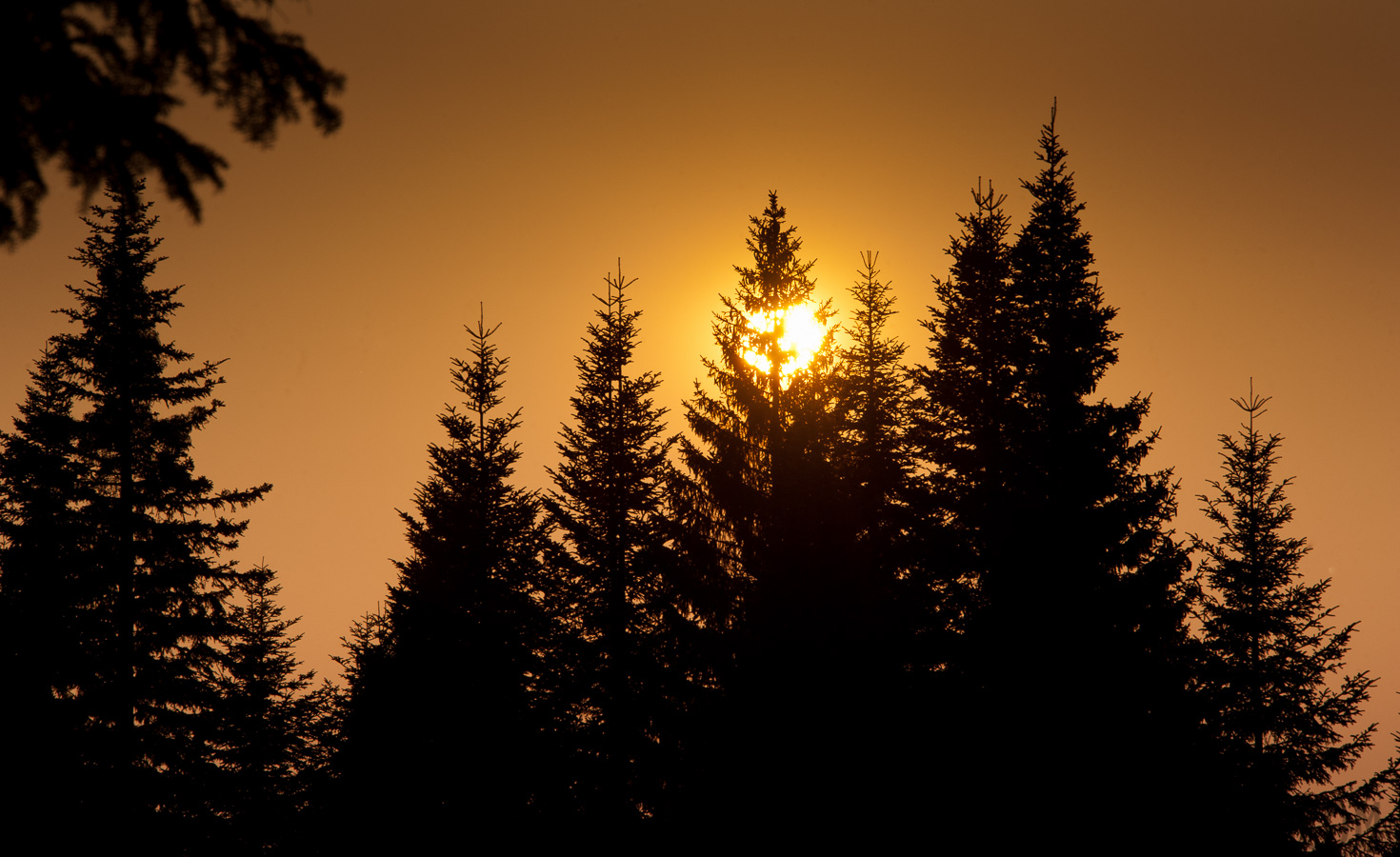 Bosnia and Herzegovina -  [210 mm, 1/500 sec at f / 16, ISO 400]